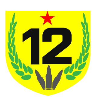 dimanageev's emblem