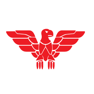 SkyNexusA8's emblem