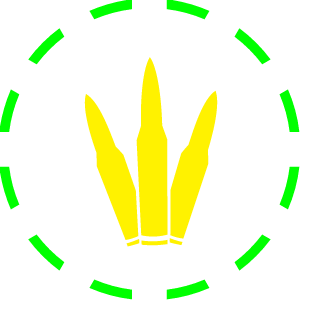 F0cusPrime's emblem