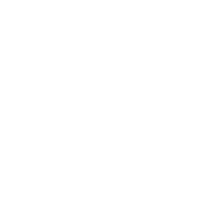 sonshinebear's emblem