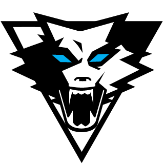 DerpTDG's emblem