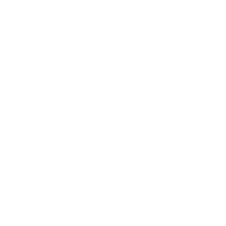 -t0r's emblem