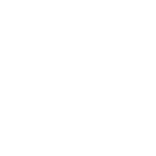 ZigatronHD's emblem