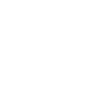 NassseNBrrrrR's emblem