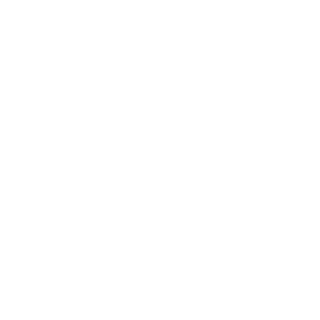 BOl4cHA's emblem