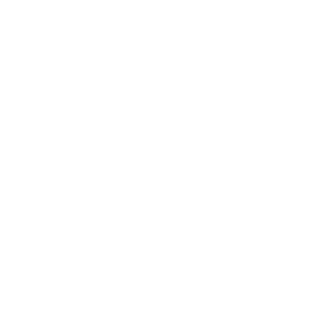 Zer0_2121's emblem