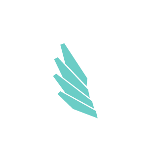 windowsvis's emblem