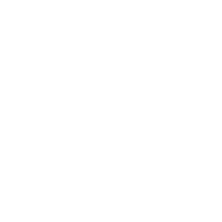 -ACE-007WUJI's emblem