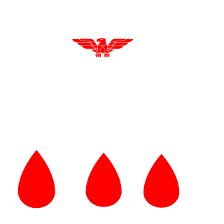 Vit-SKOLOT-72's emblem