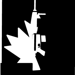 FraserCDN's emblem