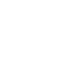 Brahms-67's emblem