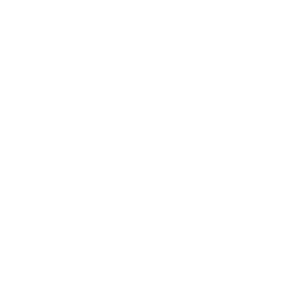KnightPain009's emblem