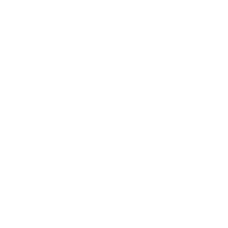 Raider9144's emblem