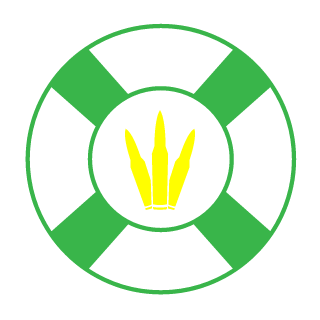 rags_2_riches2's emblem