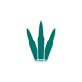 xBOGIPITx's emblem