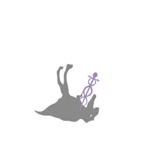 ZenFire1's emblem