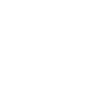 samarinlol2019's emblem