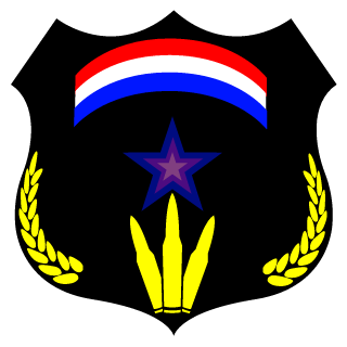 CRAZYNLSTYLE's emblem