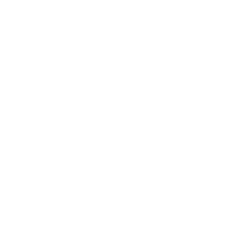 360safe's emblem