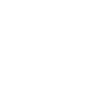 0o0_NoobyCakes's emblem
