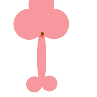 Andershow_piupiu's emblem