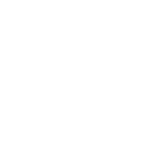 SlowMotion234's emblem