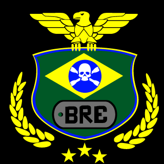 Brazilian Eagles's emblem
