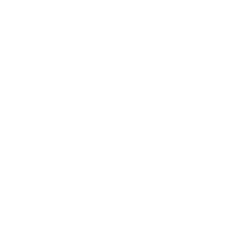 NMSGR's emblem