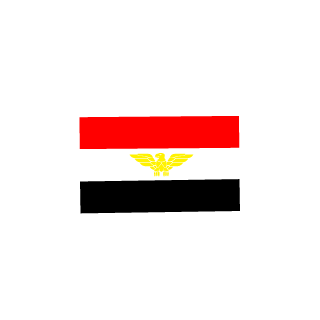 0oLIGHTNINGo0's emblem