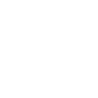 HZ88XD's emblem