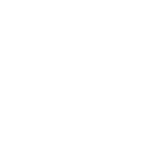1Noxx's emblem