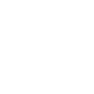 Timsonxx's emblem
