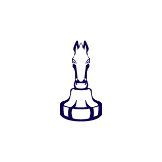 ast3rix7's emblem