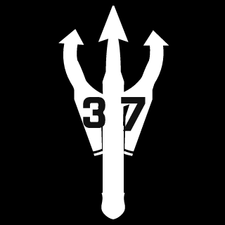 Scanner-13's emblem