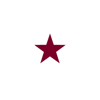 altnett13's emblem