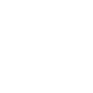 DeLanceSL's emblem