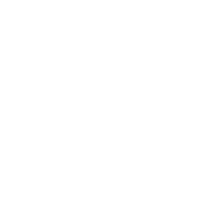 xVIRTUSx's emblem