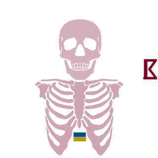 Sh0kerz's emblem