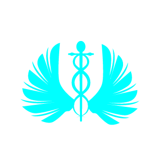 NicDesign's emblem