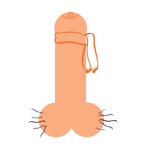 KTO_TO_PLA4ET's emblem