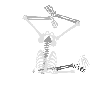 RUS_KillJoy's emblem