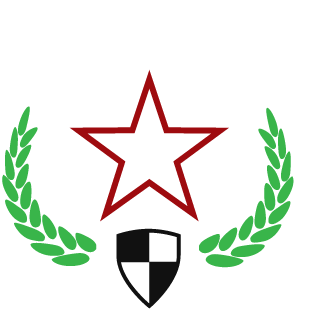 Pro100Voin1's emblem
