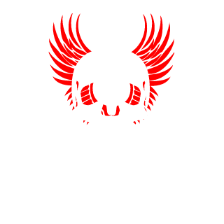 SeBson231's emblem