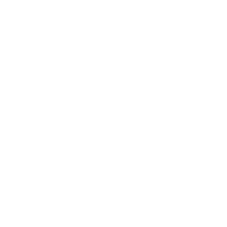o_SirCampsaLot_o's emblem