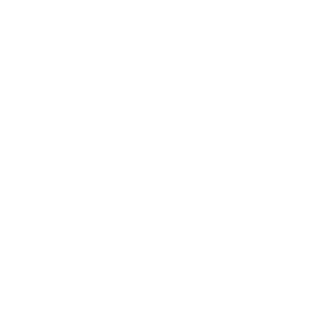 RocketInstructor's emblem