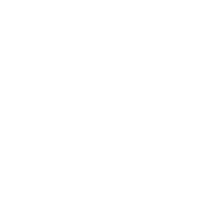 Theagileturtle01's emblem