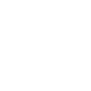 TheDefaultRemix's emblem