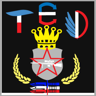 SK4LETz's emblem