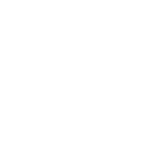 Aleks-taem's emblem