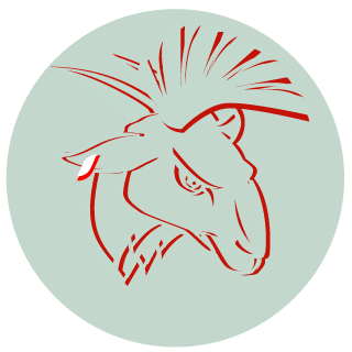 Tanukichi989's emblem
